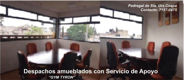 Empresarial y Domicilio Fiscal. Inluye todos los servicios